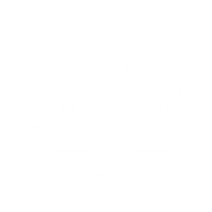 Triungulo Lab